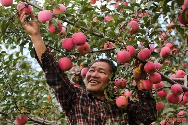 2019陕西苹果粤港澳大湾区无锡网站设计（广州）宣传推介活动23日举行