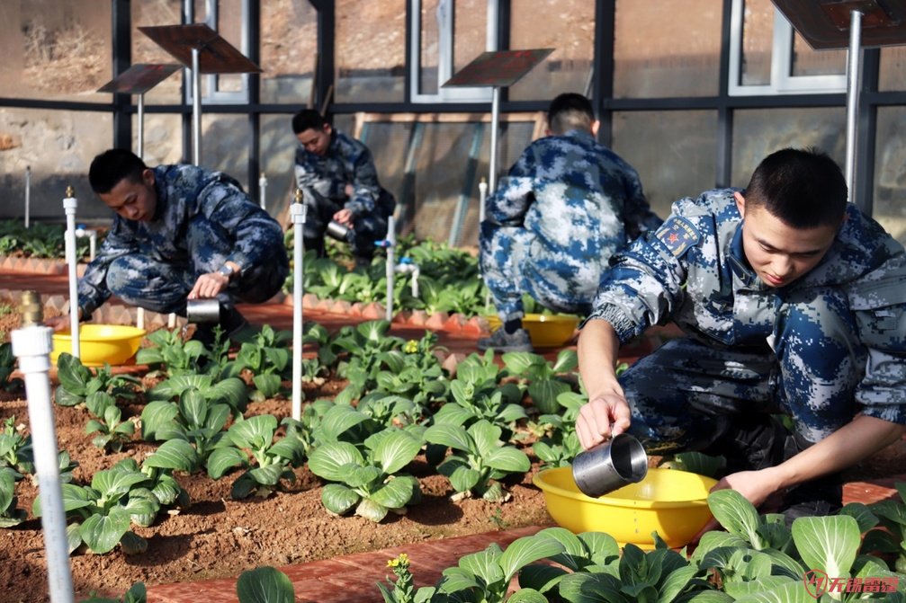 永不生�的鋼釘︰走远无锡网站开发公司海島雷達兵心中的“紅色